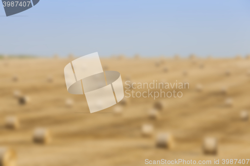 Image of haystacks in a field of straw