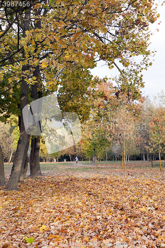 Image of Park in autumn