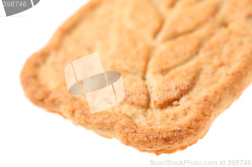 Image of Cookie, Sweet and Yellow