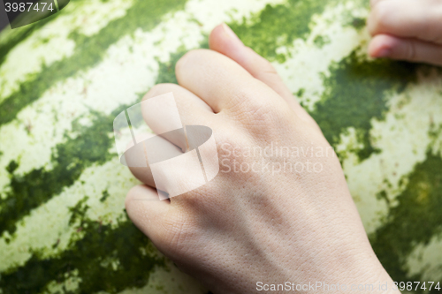 Image of hand on watermelon