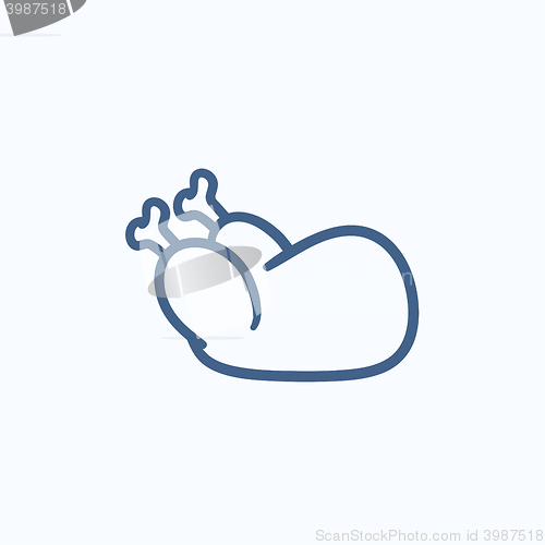 Image of Raw chicken sketch icon.