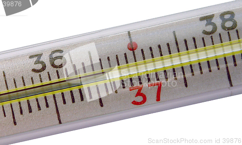 Image of Thermometer