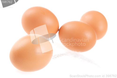 Image of Egg, Feather