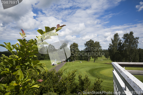 Image of golf course