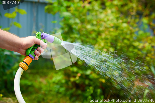 Image of Working watering garden from hose