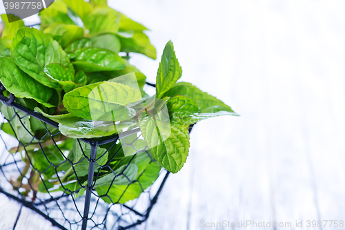 Image of fresh mint