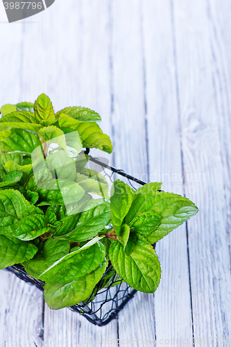 Image of fresh mint