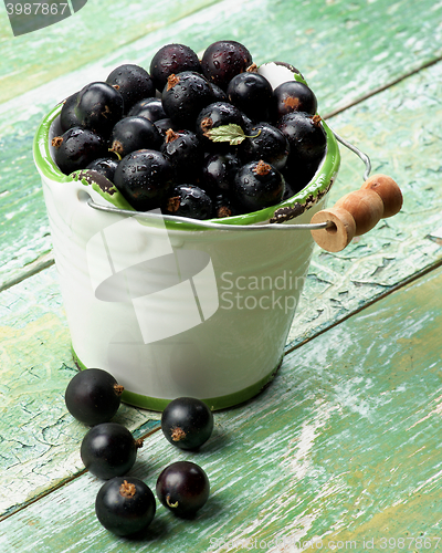 Image of Fresh Berries of Blackcurrant