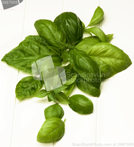 Image of Fresh Basil Leafs