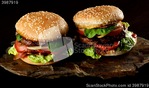 Image of Two Tasty Hamburgers