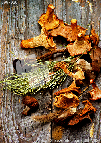 Image of Arrangement of Dried Mushrooms