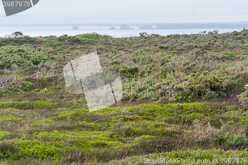 Image of around Pointe de Pen-Hir in Brittany