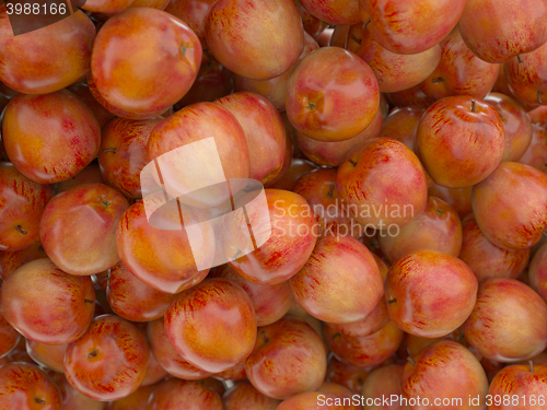 Image of Tasty Red ripe apples