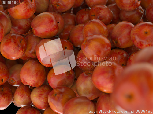 Image of Many Red ripe apples