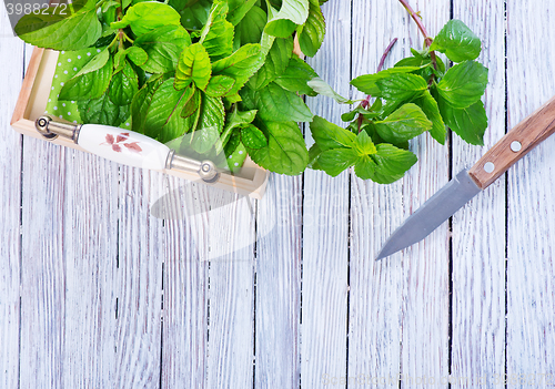 Image of fresh mint