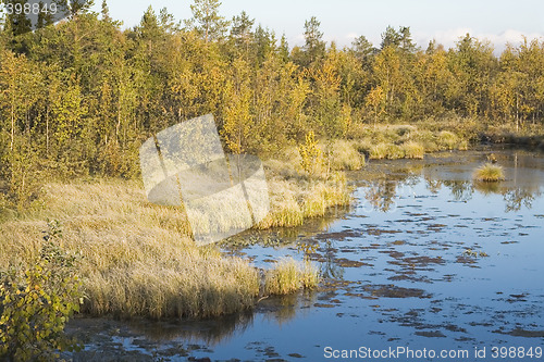 Image of rushy lake