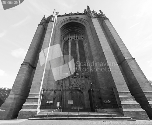 Image of Liverpool Cathedral in Liverpool