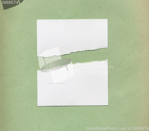 Image of Torn paper pieces