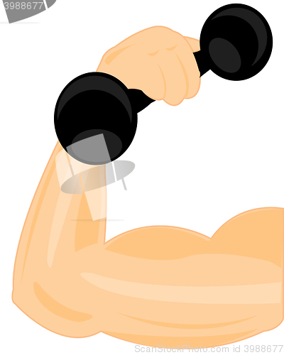 Image of Hand with dumbbells