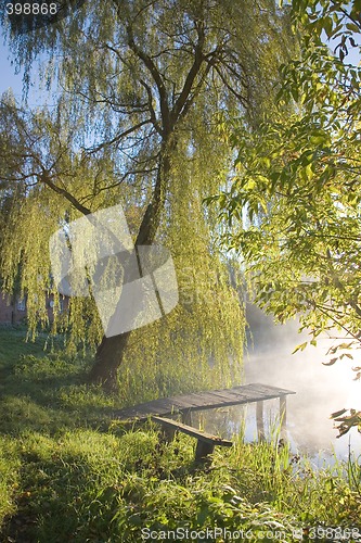 Image of Old fishing platform under willow tree