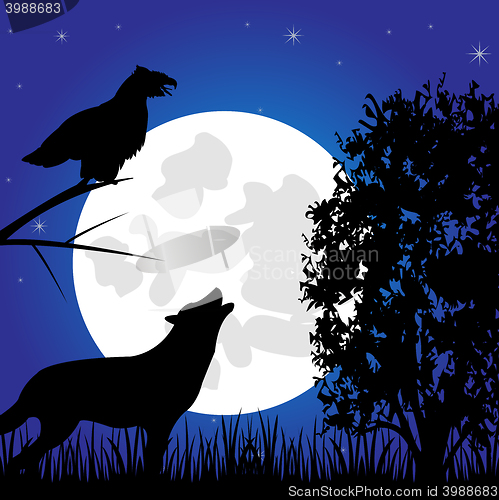 Image of Silhouettes animal in the night