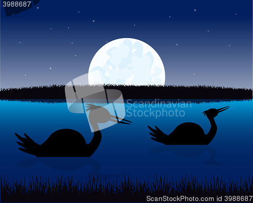 Image of Night landscape with water and bird