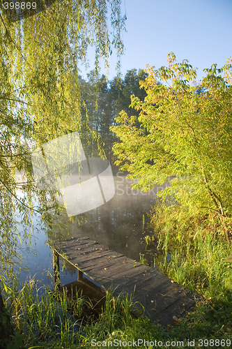 Image of Old fishing platform under willow tree