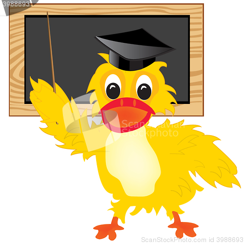 Image of Duck teacher