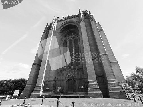 Image of Liverpool Cathedral in Liverpool