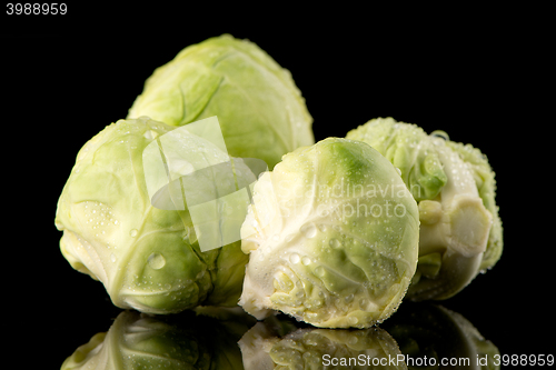 Image of Fresh brussels sprouts