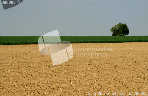 Image of field, agriculture