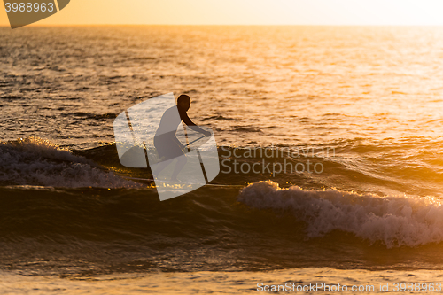Image of Stand up paddler silhouette at sunset