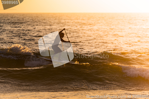 Image of Stand up paddler silhouette at sunset