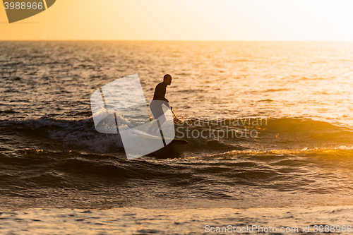 Image of Stand up paddler silhouette at sunset