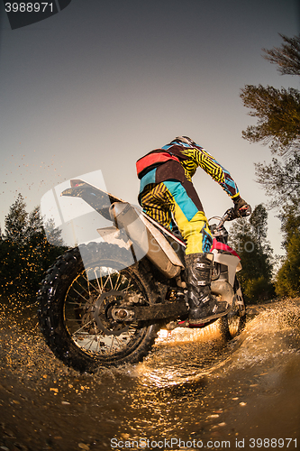 Image of Enduro bike rider