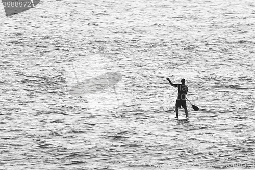 Image of Man on Stand Up Paddle Board