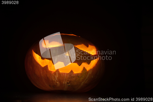 Image of Halloween pumpkin on black