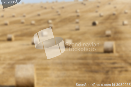 Image of agriculture, not in focus