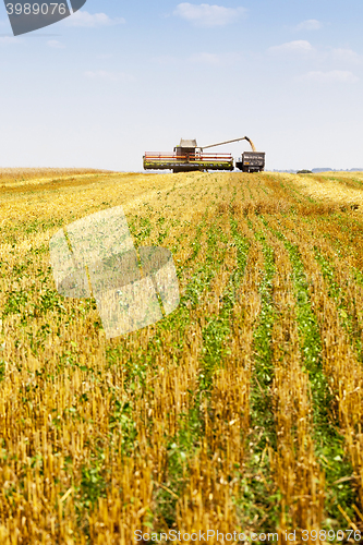 Image of Harvester in the field