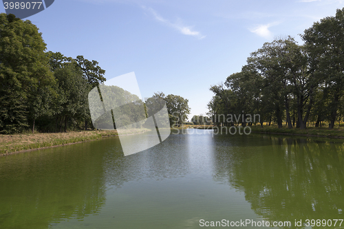 Image of swamp, the end of summer