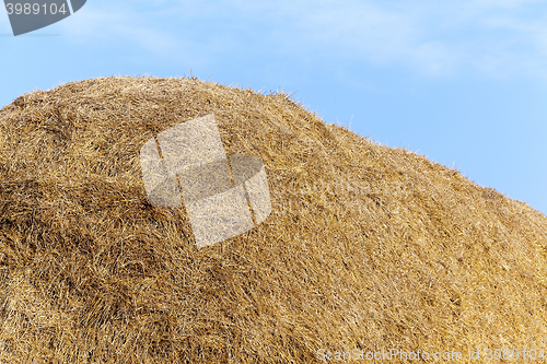 Image of stack of straw in the field