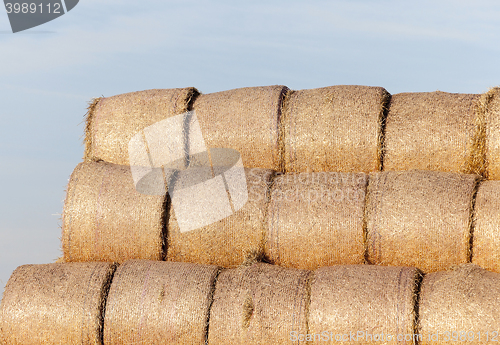 Image of stack of straw in the field