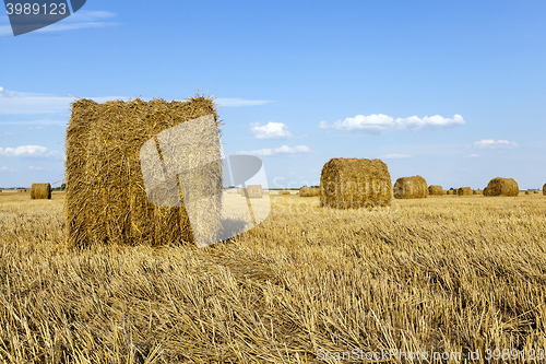 Image of haystacks straw, close up