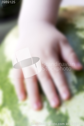 Image of hand on watermelon