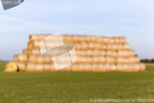 Image of stack of straw in the field