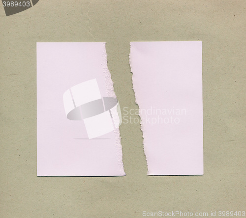 Image of Torn paper pieces