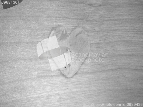 Image of Heart shaped petal