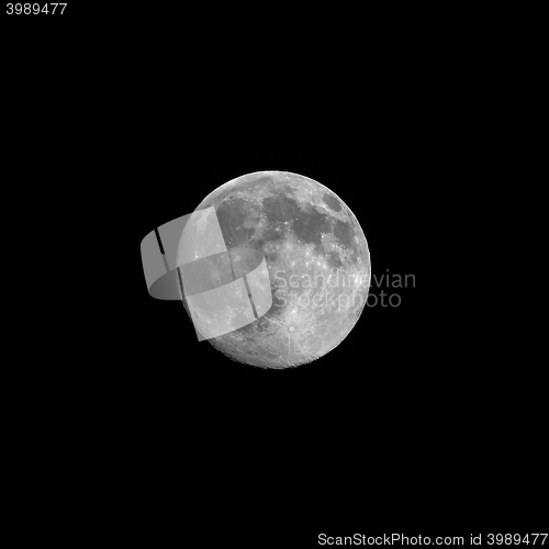 Image of Full moon view