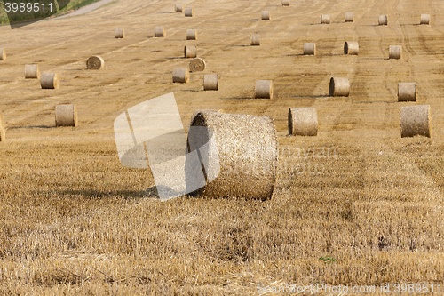 Image of stack of straw in the field