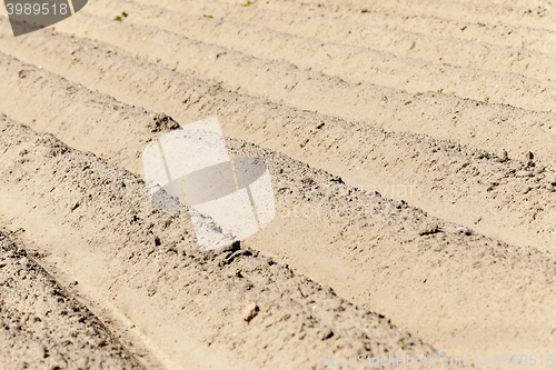 Image of plowed for crop land